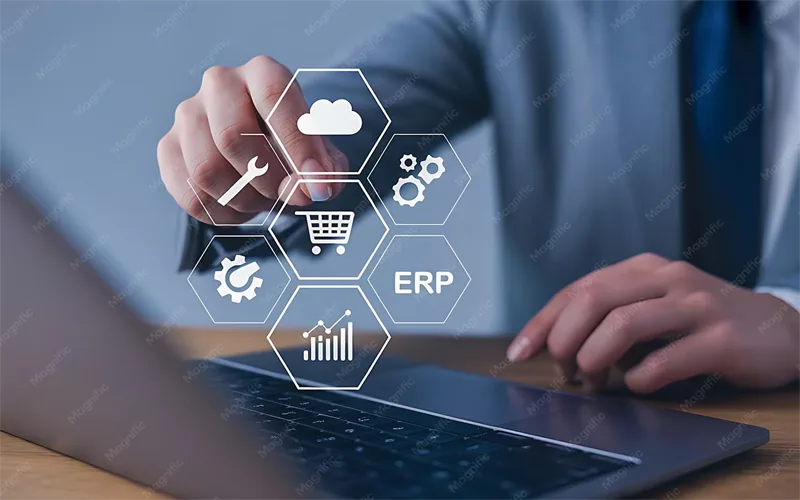ERP & CRM Integration