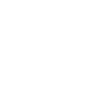 Coding Assistant