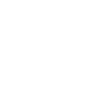 Incident Reporter