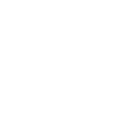 Jira Sprint Analyzer